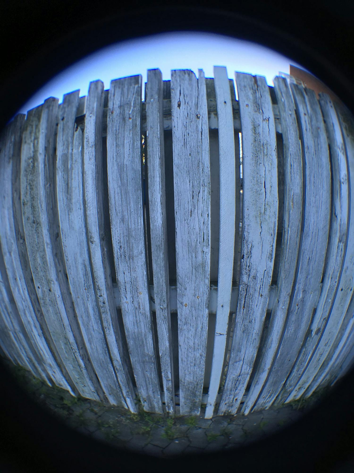 Brug af fiskeøjeobjektiv til smartphone Billede fotograferet med fiskeøjeobjektiv til smartphones